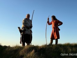 Opinn Skjold 017-001